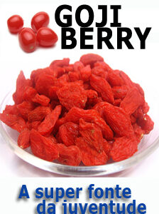 GOJI BERRY EXTRATO SECO 500MG - CÁPSULAS